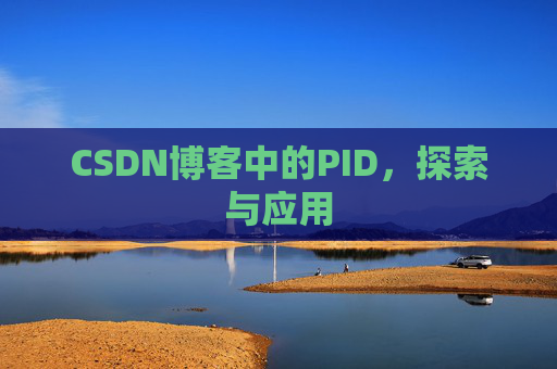 CSDN博客中的PID，探索与应用
